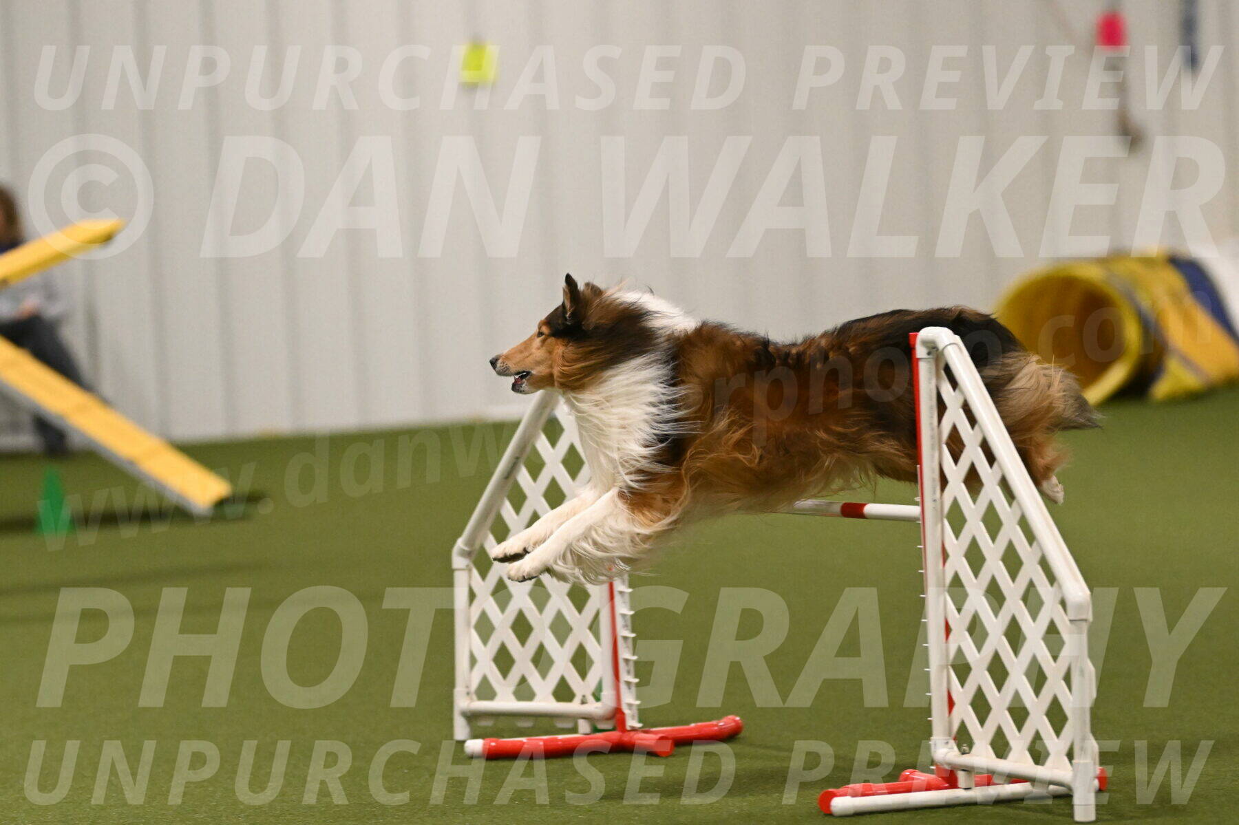 Punch-Carolynne-Rose-04428