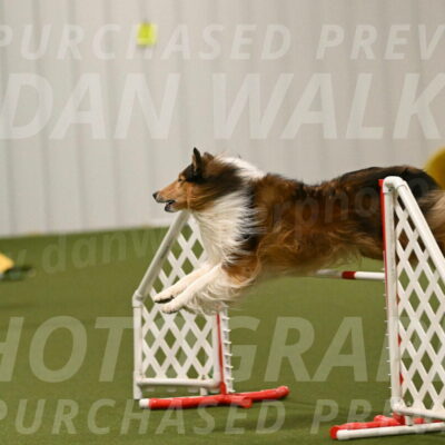 Punch-Carolynne-Rose-04428