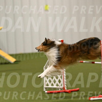 Punch-Carolynne-Rose-04429