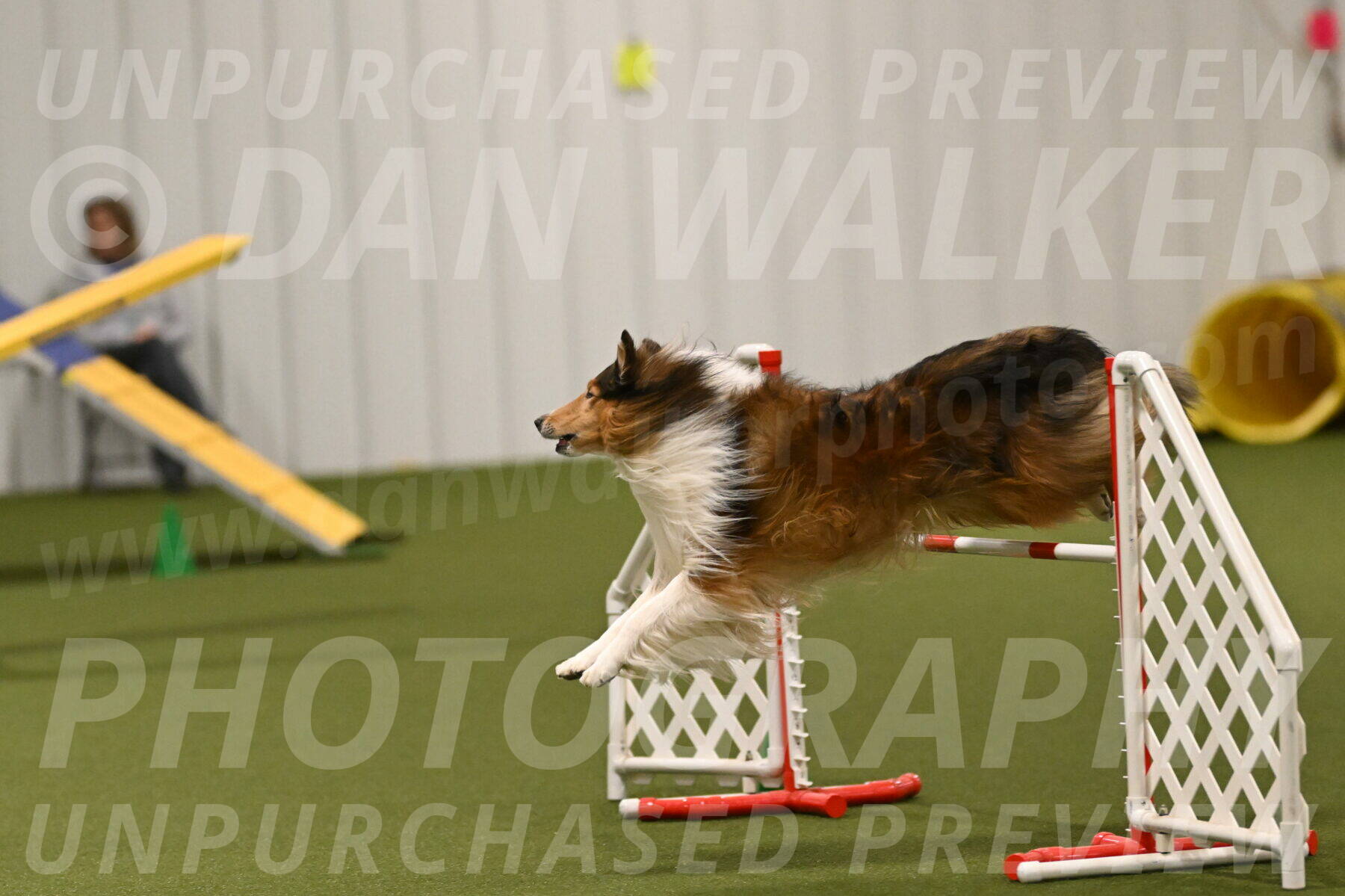 Punch-Carolynne-Rose-04429