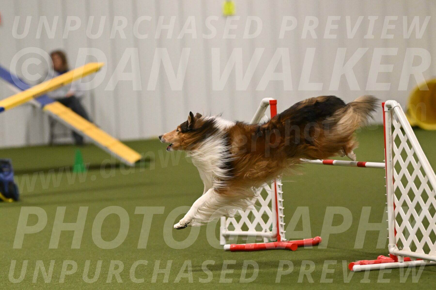 Punch-Carolynne-Rose-04430