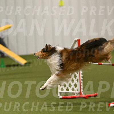 Punch-Carolynne-Rose-04430