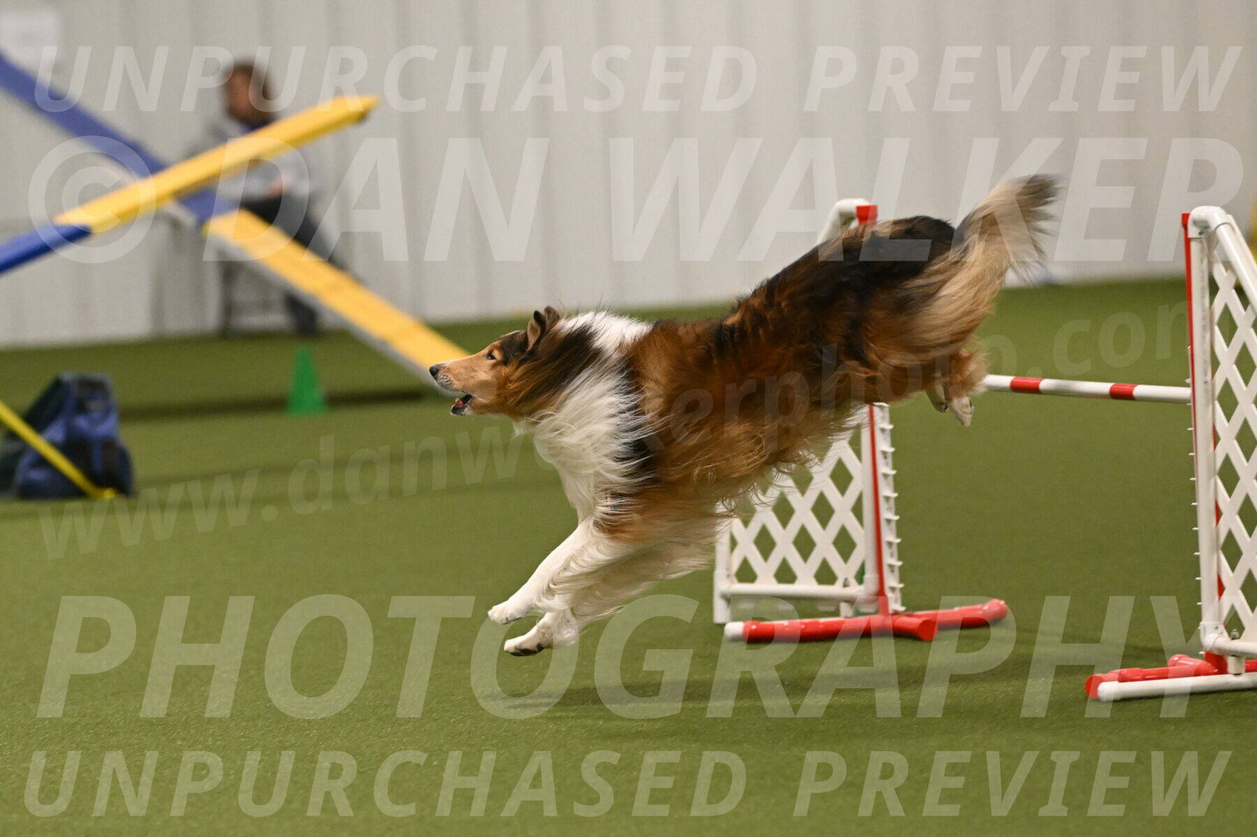 Punch-Carolynne-Rose-04431