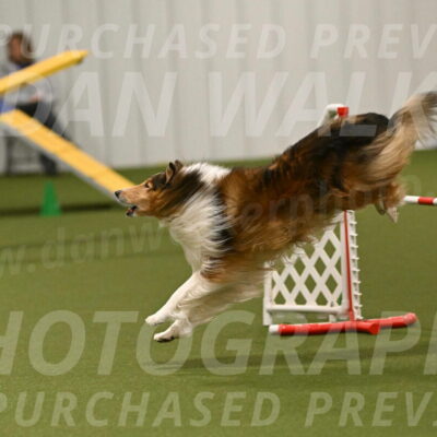 Punch-Carolynne-Rose-04431