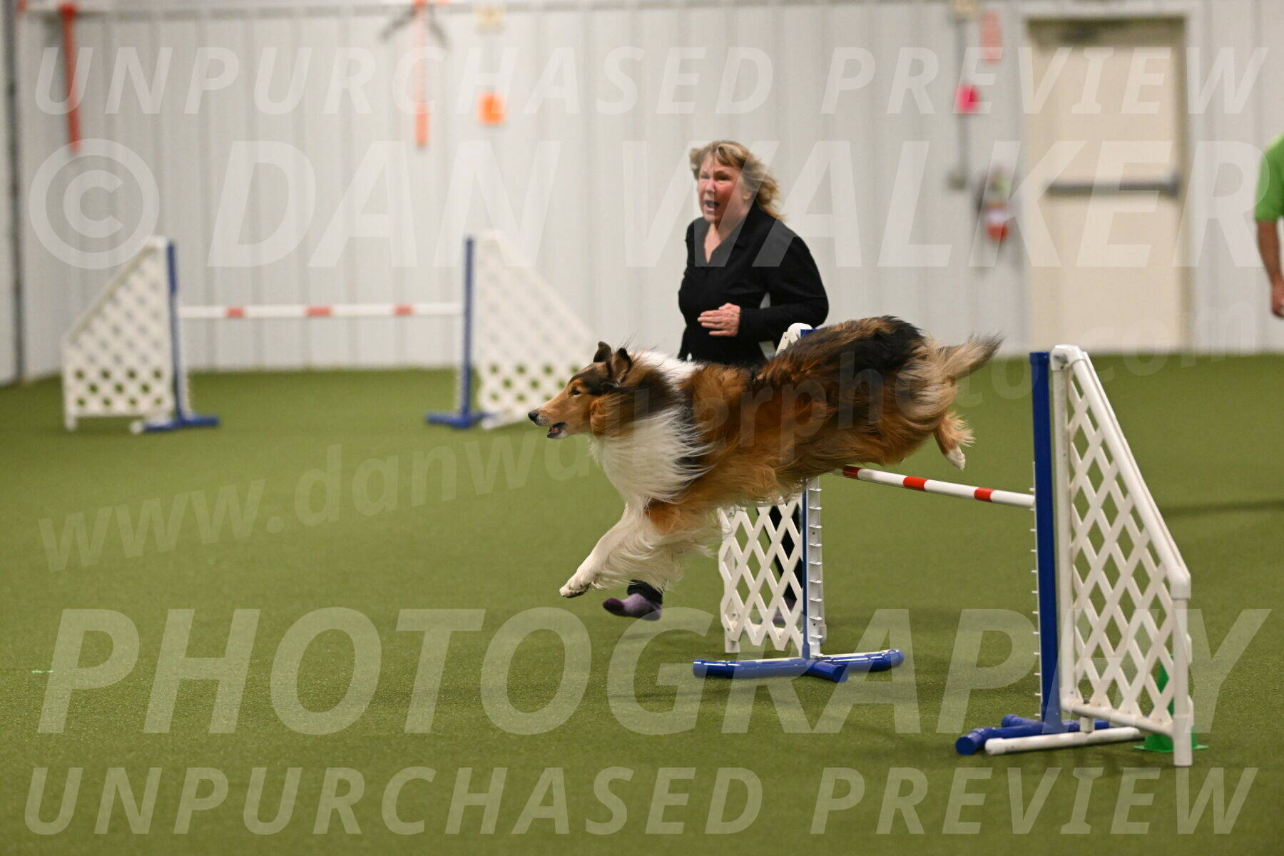 Punch-Carolynne-Rose-04432