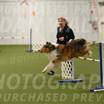 Punch-Carolynne-Rose-04432