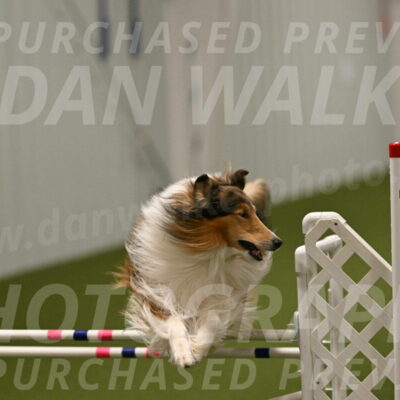 Punch-Carolynne-Rose-04433