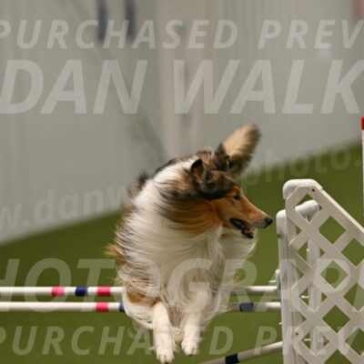 Punch-Carolynne-Rose-04434