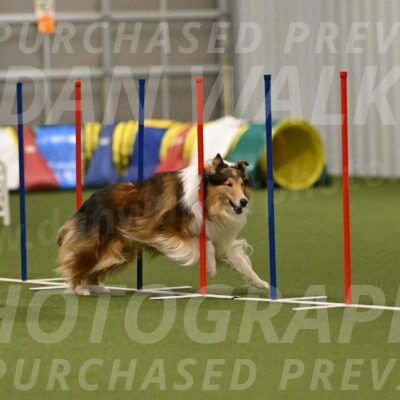 Punch-Carolynne-Rose-04435