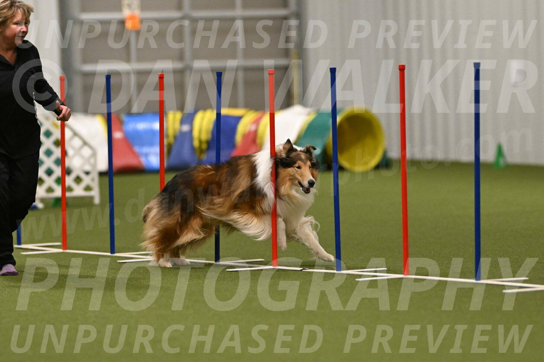 Punch-Carolynne-Rose-04435