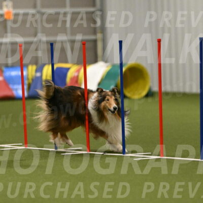 Punch-Carolynne-Rose-04436