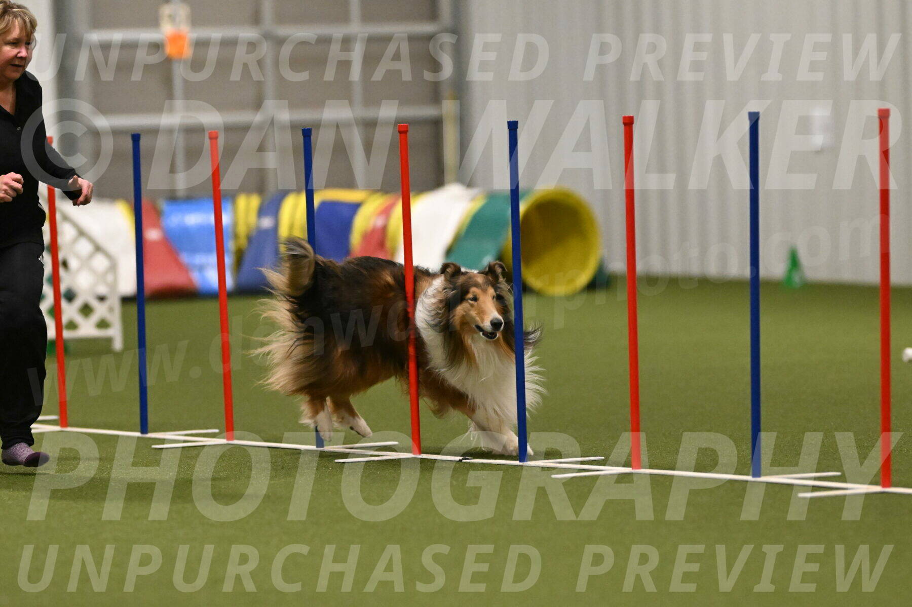 Punch-Carolynne-Rose-04436