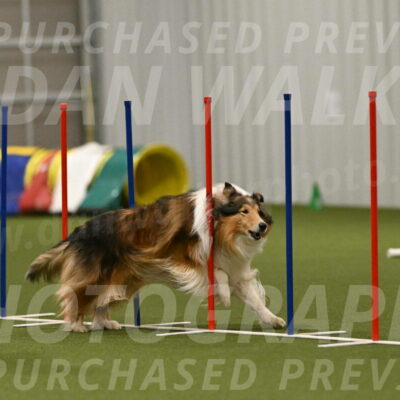 Punch-Carolynne-Rose-04437