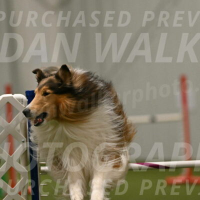 Punch-Carolynne-Rose-04441