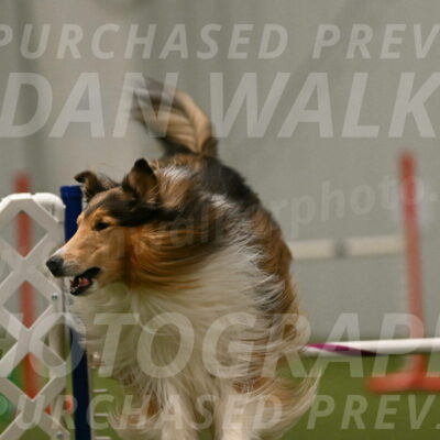 Punch-Carolynne-Rose-04442