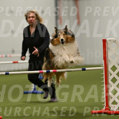 Punch-Carolynne-Rose-04443