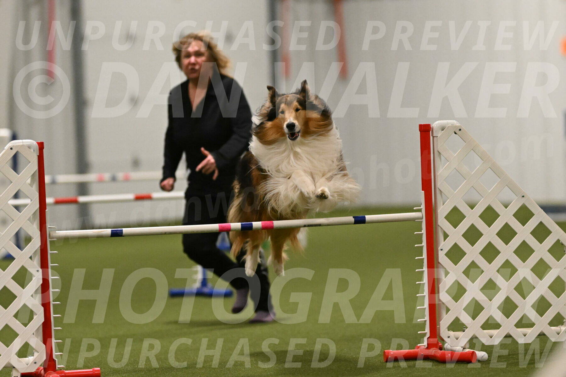 Punch-Carolynne-Rose-04443