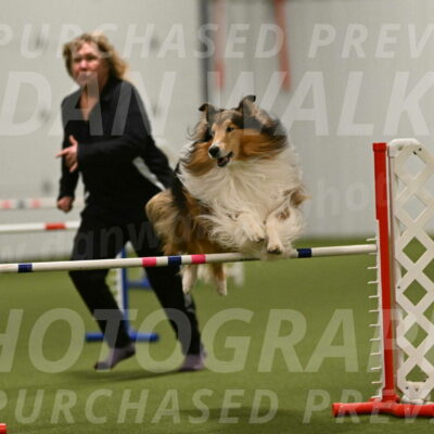 Punch-Carolynne-Rose-04444