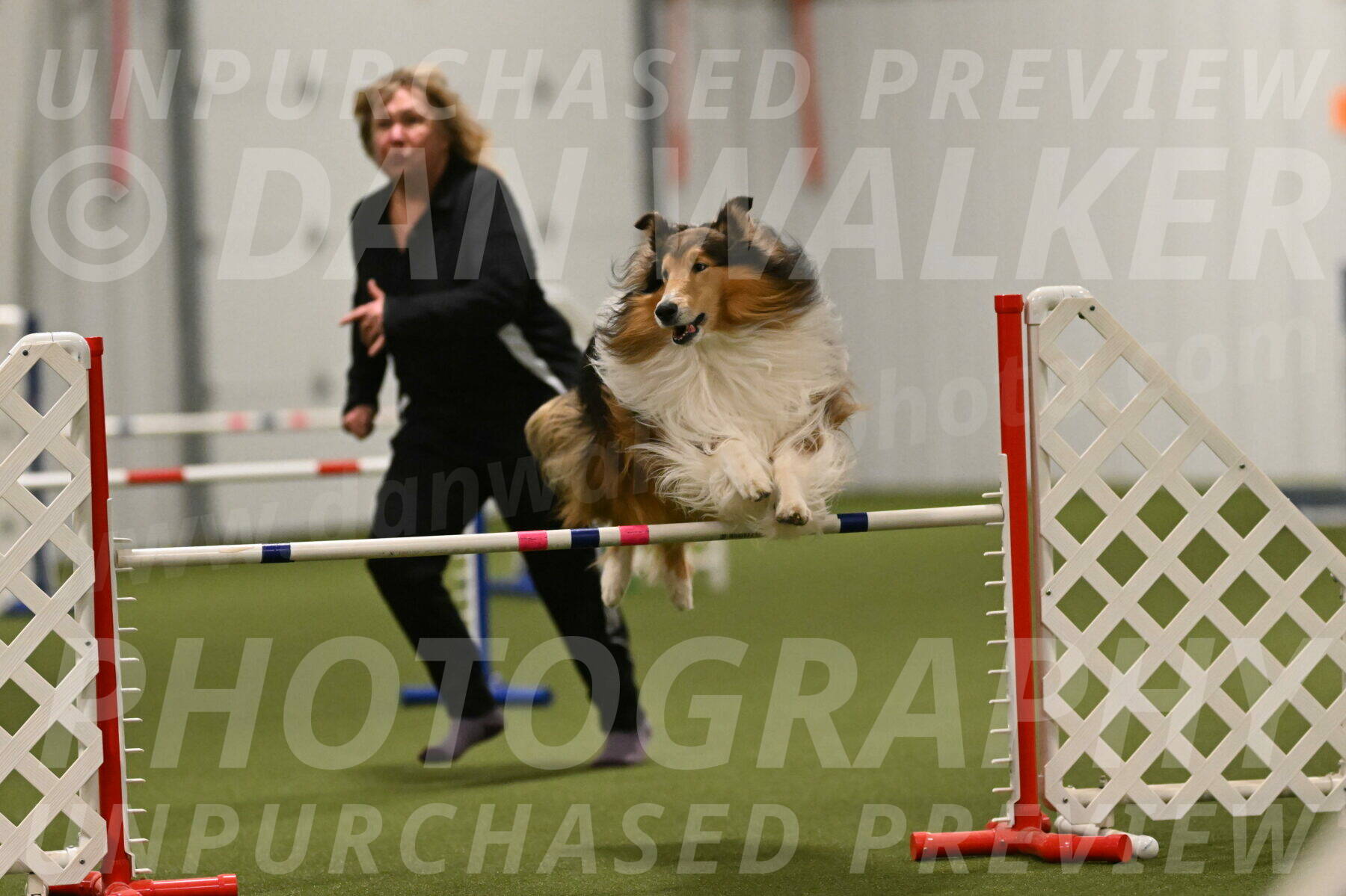 Punch-Carolynne-Rose-04444