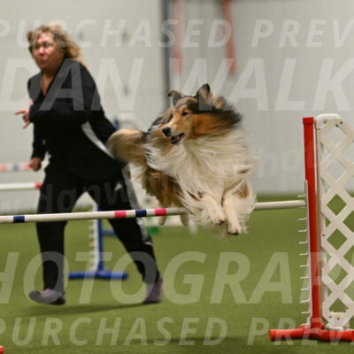 Punch-Carolynne-Rose-04445