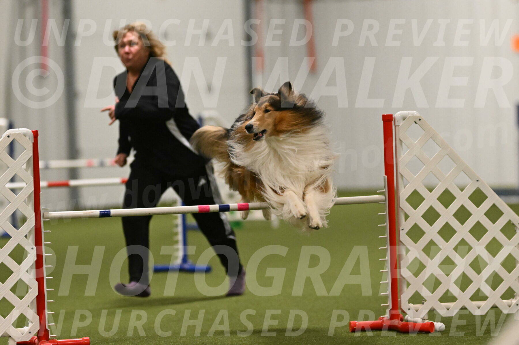 Punch-Carolynne-Rose-04445