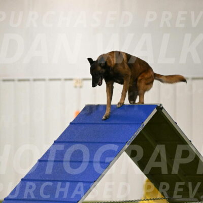 Raylan-Janet-Lasater-05078