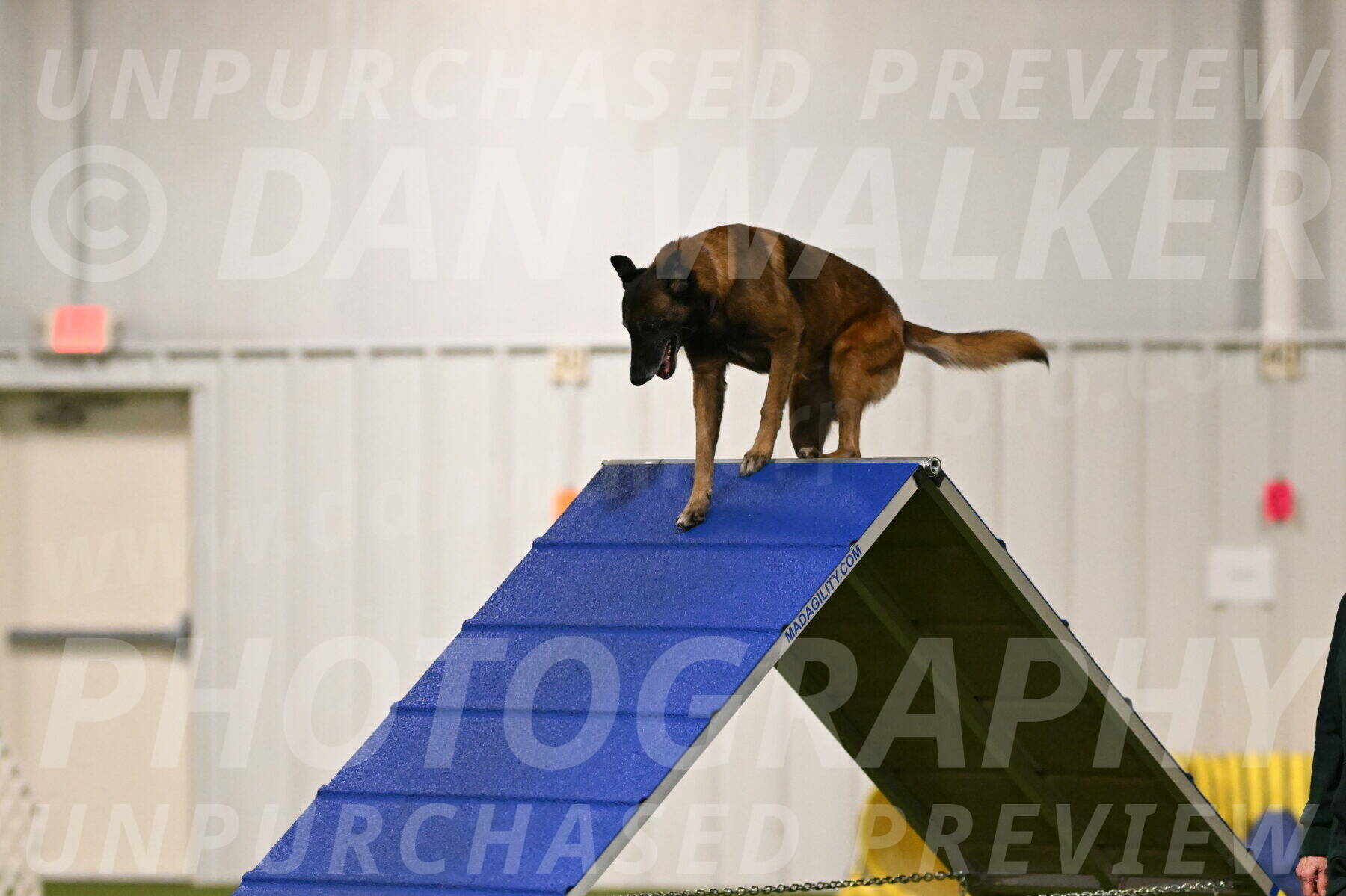 Raylan-Janet-Lasater-05078