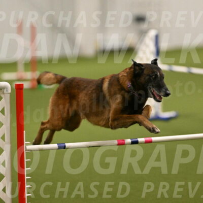 Raylan-Janet-Lasater-05081