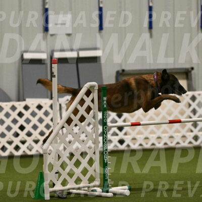 Raylan-Janet-Lasater-05085