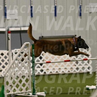 Raylan-Janet-Lasater-05086