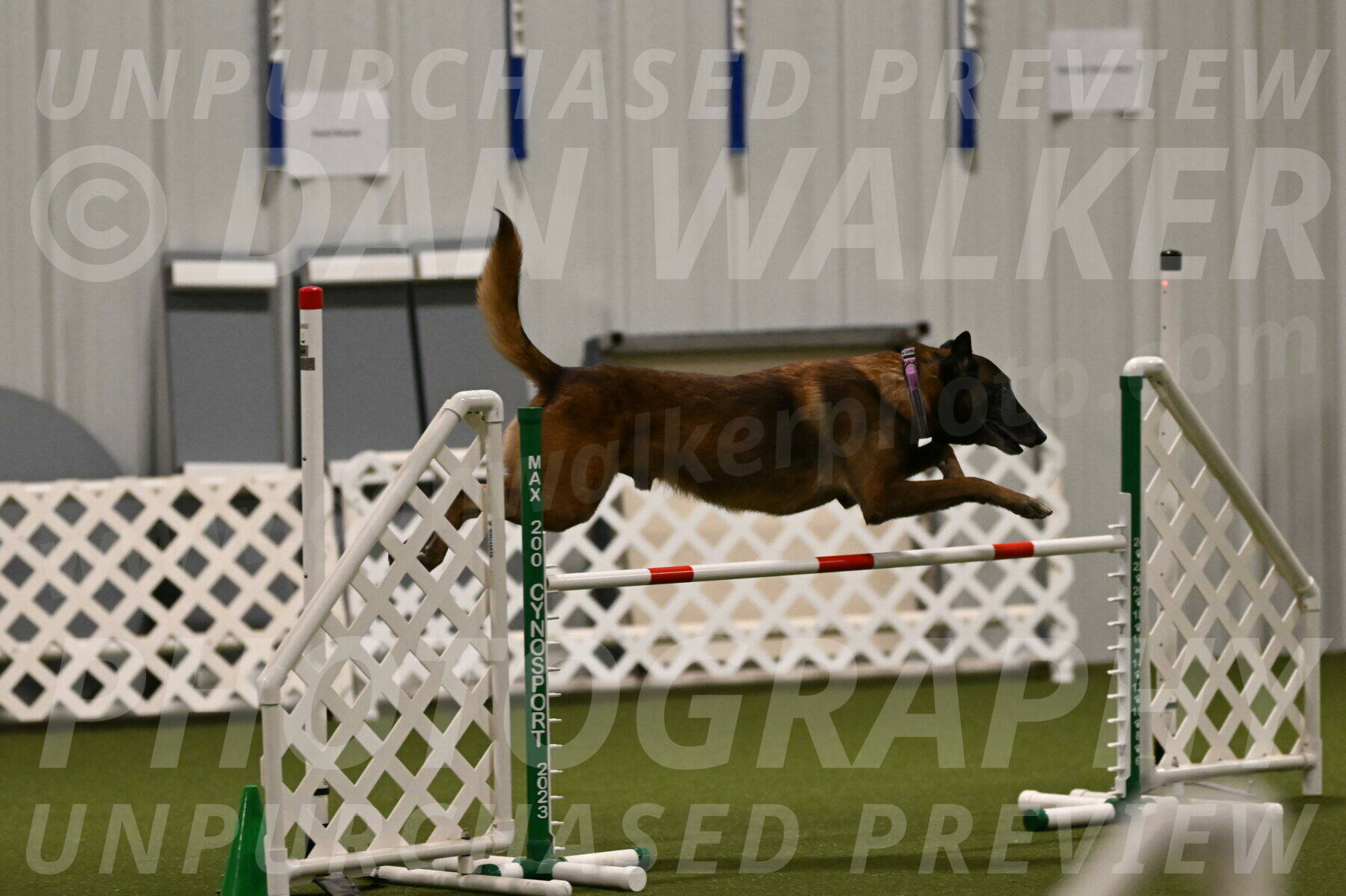 Raylan-Janet-Lasater-05086