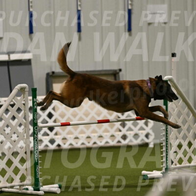 Raylan-Janet-Lasater-05087