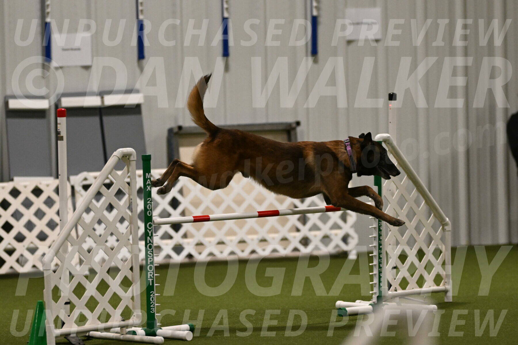 Raylan-Janet-Lasater-05087