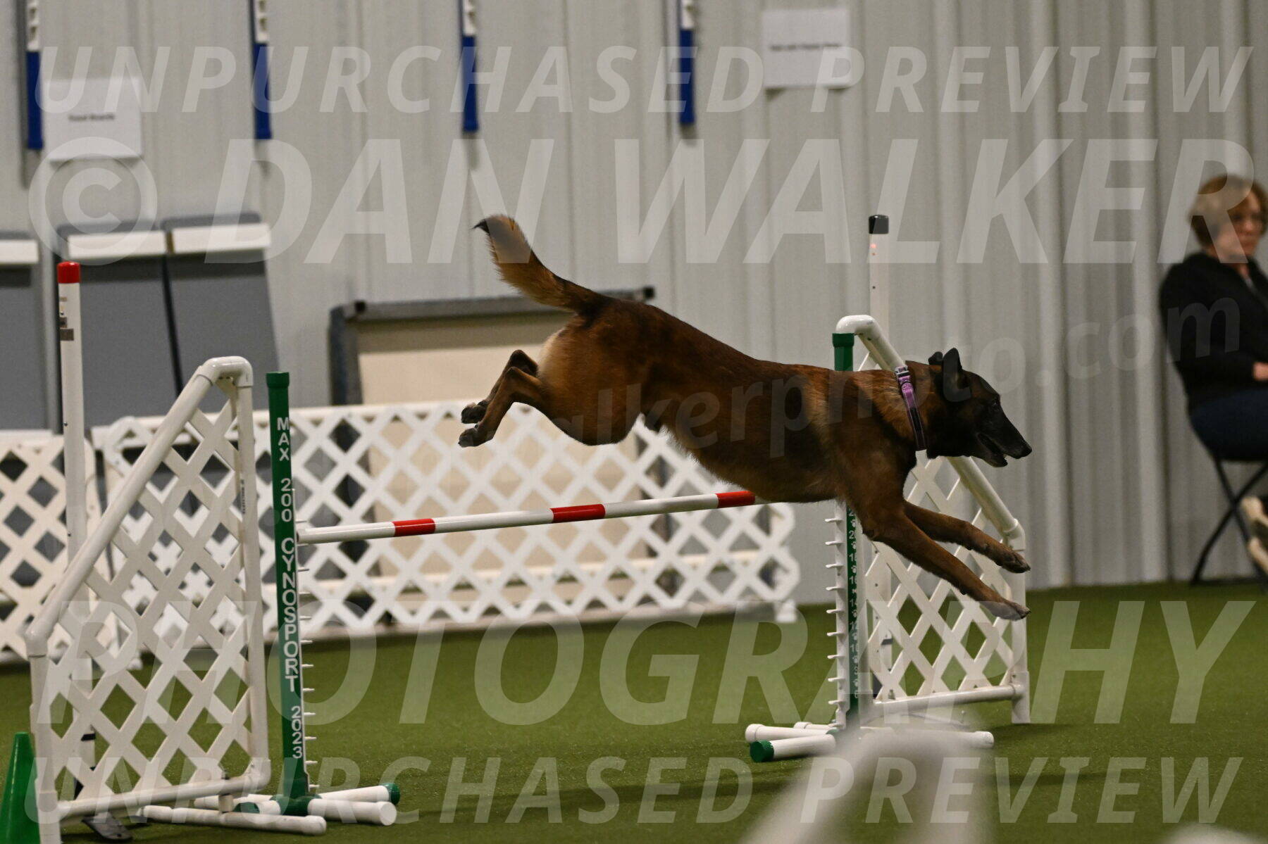 Raylan-Janet-Lasater-05088