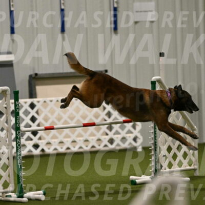 Raylan-Janet-Lasater-05088