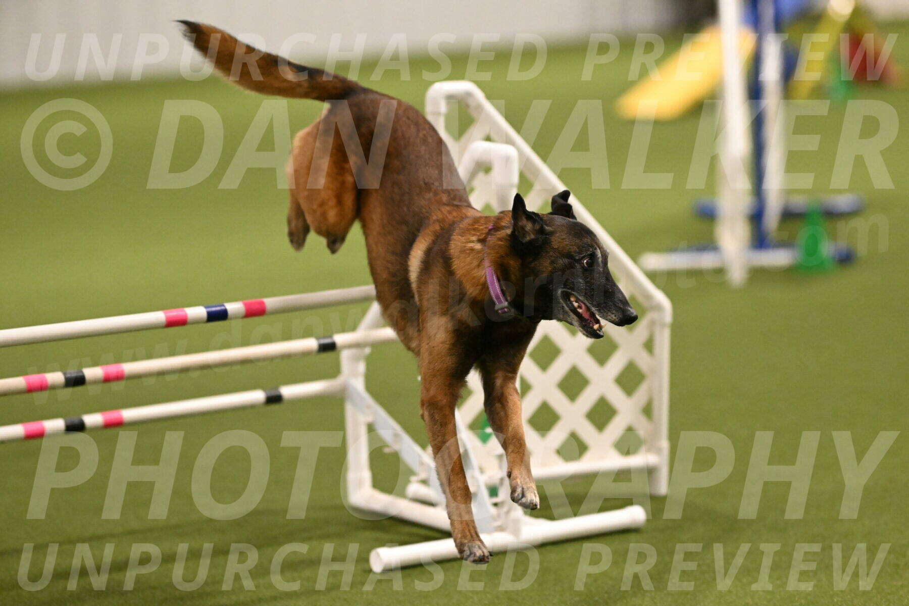 Raylan-Janet-Lasater-05098