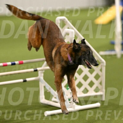 Raylan-Janet-Lasater-05098