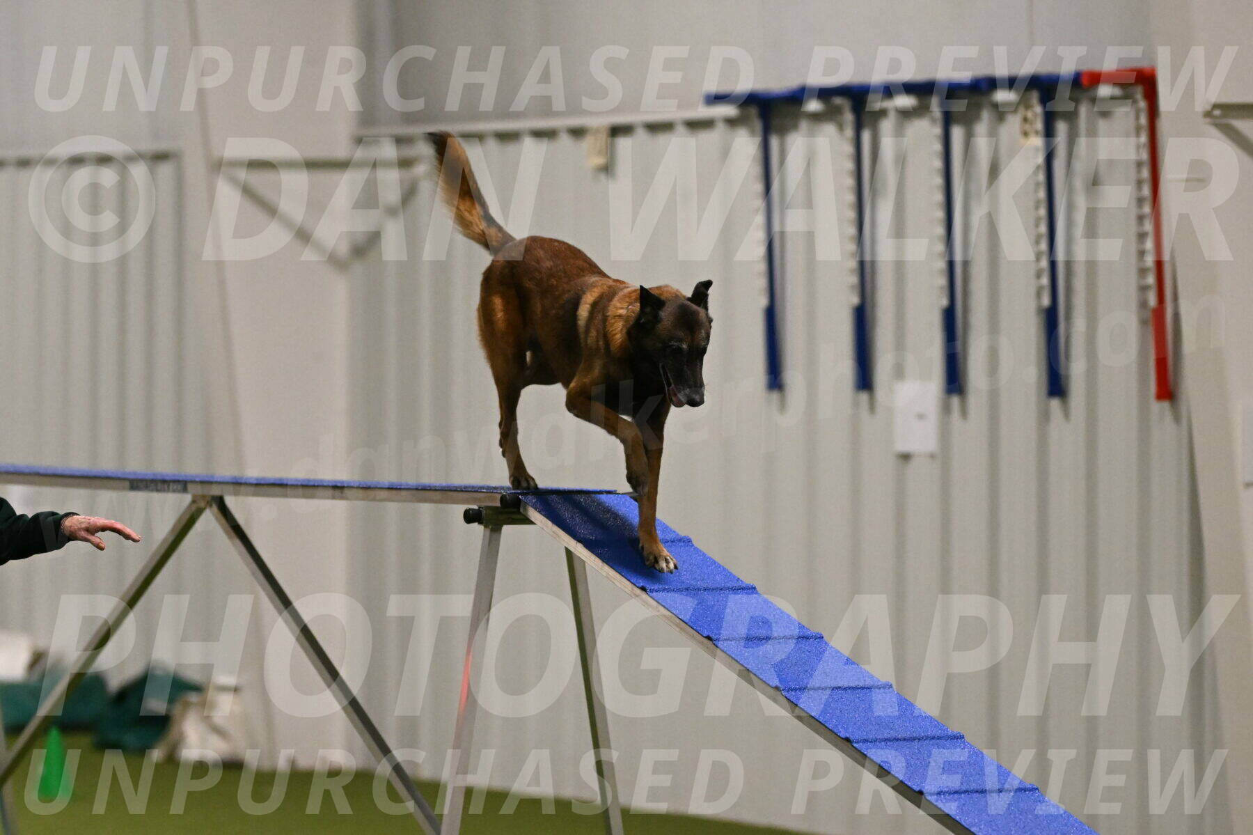 Raylan-Janet-Lasater-05099
