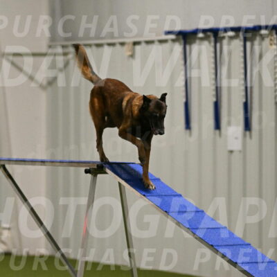 Raylan-Janet-Lasater-05099