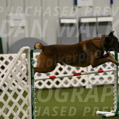 Raylan-Janet-Lasater-05104