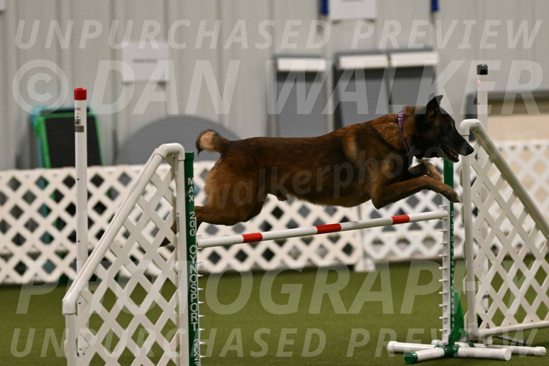 Raylan-Janet-Lasater-05104