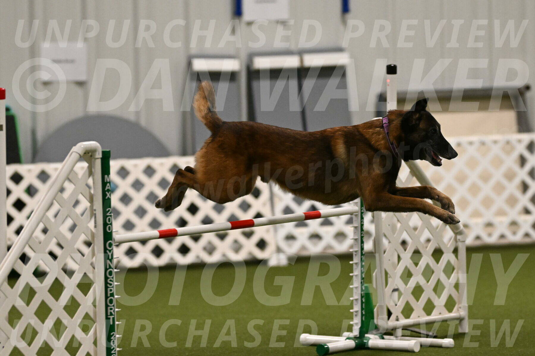 Raylan-Janet-Lasater-05105