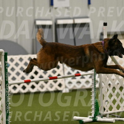Raylan-Janet-Lasater-05105
