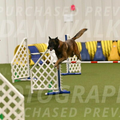 Raylan-Janet-Lasater-05113