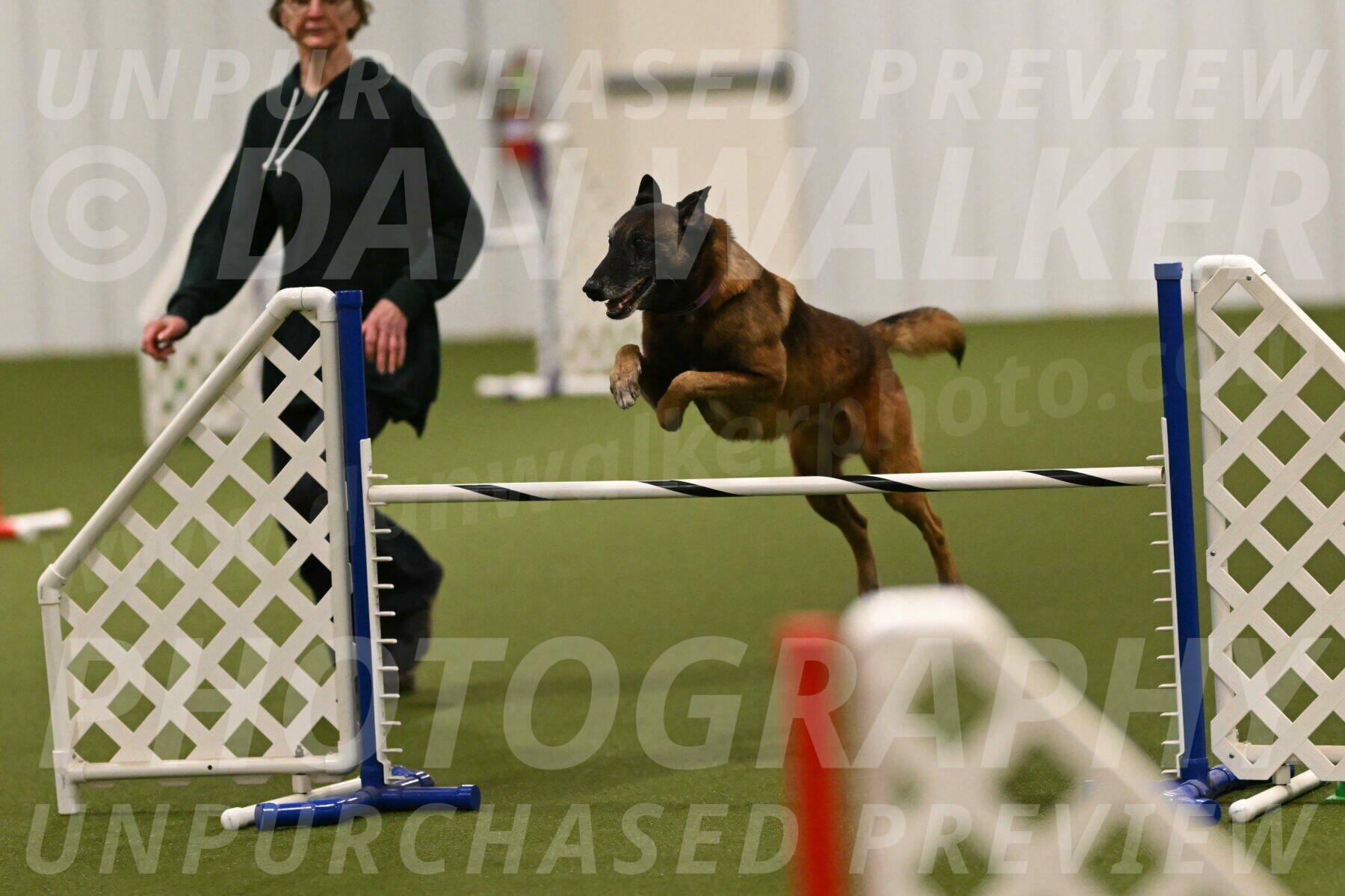 Raylan-Janet-Lasater-05115