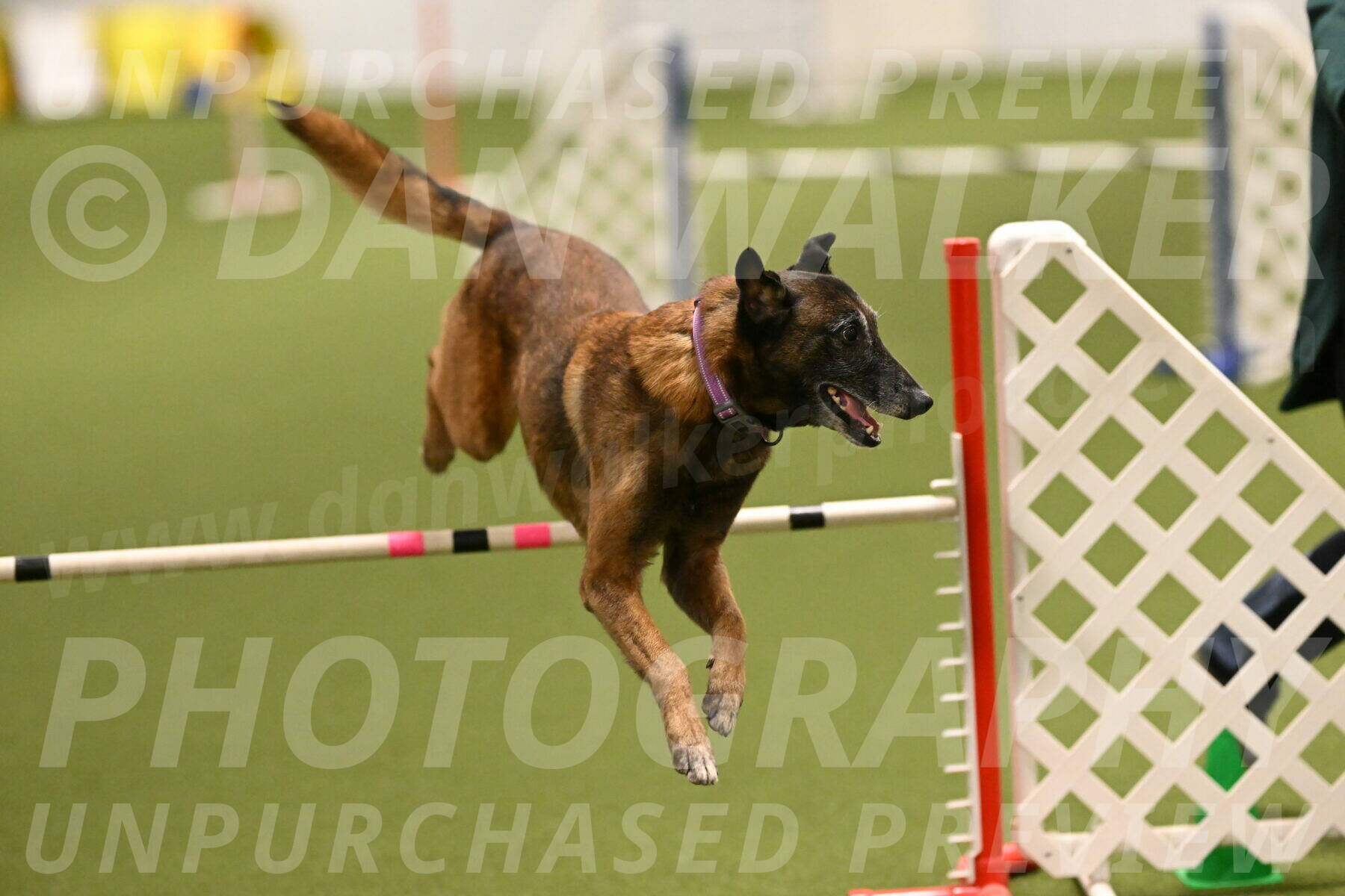 Raylan-Janet-Lasater-05130