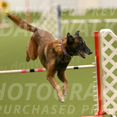 Raylan-Janet-Lasater-05130