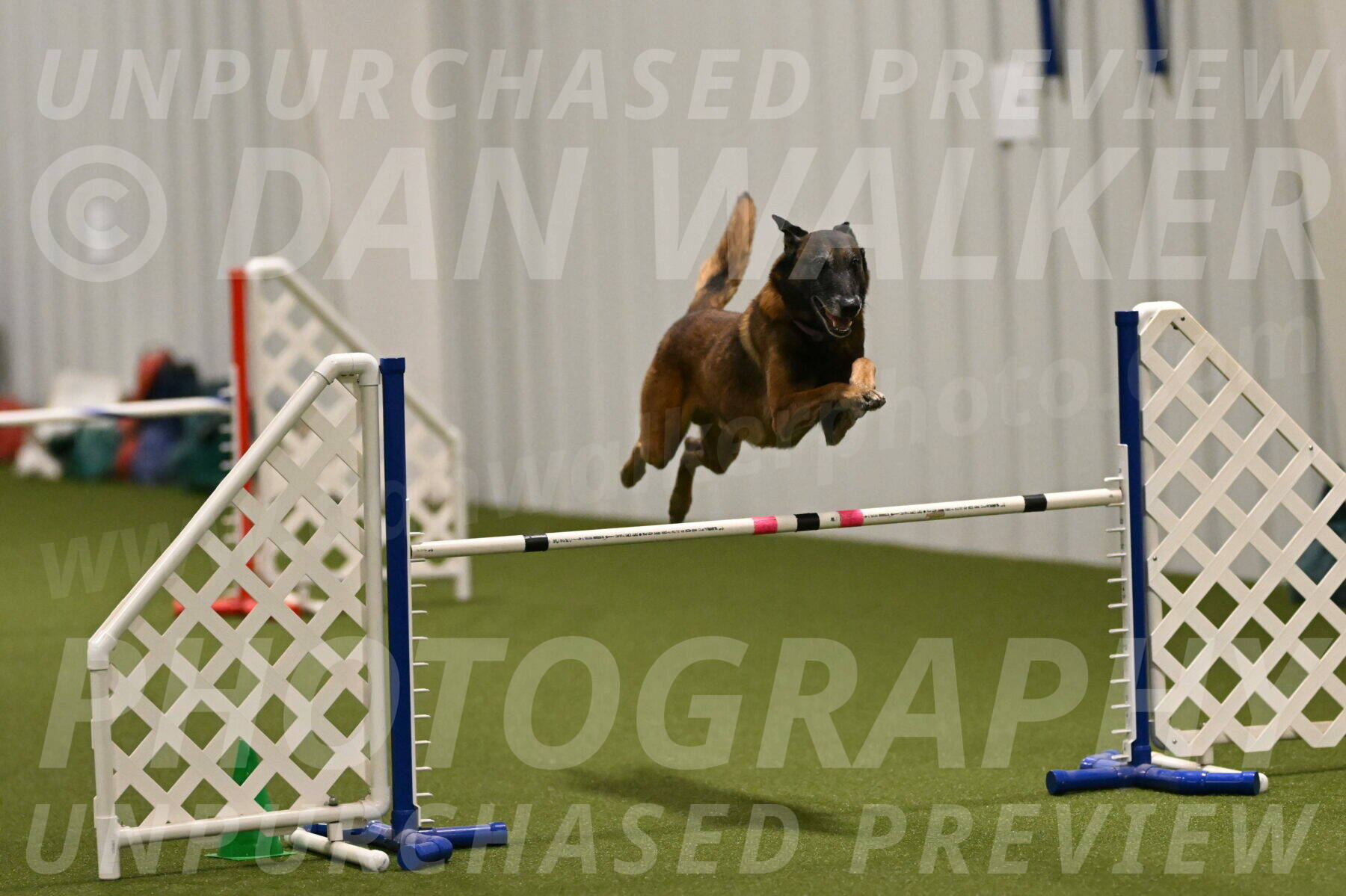 Raylan-Janet-Lasater-05133
