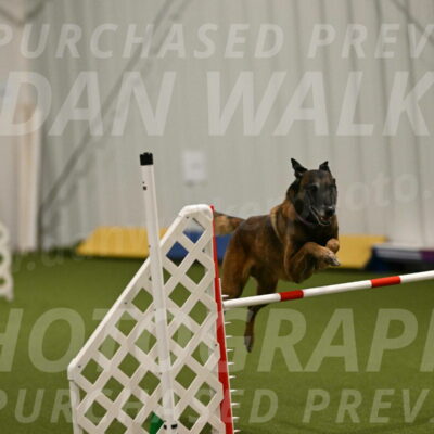 Raylan-Janet-Lasater-05135