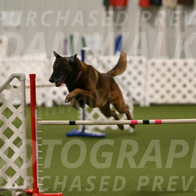 Raylan-Janet-Lasater-05143